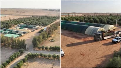 സൗദിയിലെ കിങ് സൽമാൻ വനസംരക്ഷണ മേഖലയിൽ 10 ലക്ഷം തൈകൾ നടുന്നു