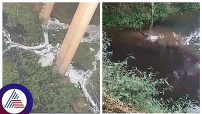 ಕೊಡಗಿನಲ್ಲೇ ವಿಷವಾಗುತ್ತಿದೆ ಜೀವಜಲ ಕಾವೇರಿ, ಒಡಲು ಸೇರುತ್ತಿದೆ ಶುಂಠಿ ಶುದ್ಧೀಕರಣದ ತ್ಯಾಜ್ಯ, ಶೌಚಾಲಯದ ನೀರು