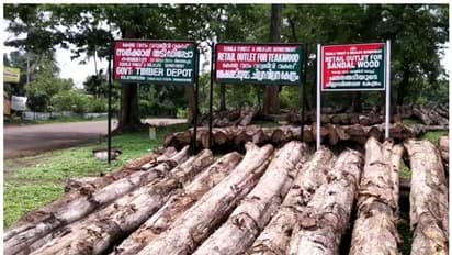 വീട് വെയ്ക്കാന്‍ വനം വകുപ്പിന്റെ തേക്ക് തടി വാങ്ങാം; വില്‍പന 25 മുതൽ