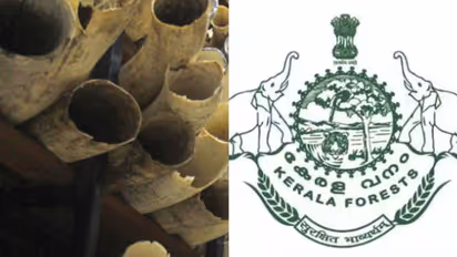 തീരുമാനമായി, ചുമ്മാ അങ്ങ് കത്തിച്ച് കളയും! കേരളത്തിലെ ഗോഡൗണുകളിലെ കോടികൾ മൂല്യമുള്ള 100 കിലോയോളം ആനക്കൊമ്പ്