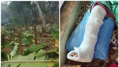 വൃദ്ധയുടെ കാല് അയല്വാസികളുടെ ചവിട്ടേറ്റ് ഒടിഞ്ഞു; കൃഷിയും വെട്ടി നശിപ്പിച്ചു, കേസെടുത്ത് പൊലീസ്