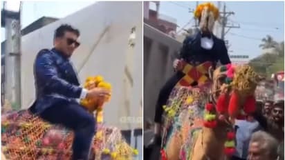 'കല്യാണാഘോഷമല്ല ആഭാസത്തരം, വരനും കൂട്ടാളികളും നടത്തിയത് കോമാളിത്തരം'; വിമര്ശനവുമായി മഹല്ല് കമ്മിറ്റി