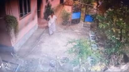 അതിർത്തി തർക്കം; കൊല്ലത്ത് 85കാരിക്ക് അനുജത്തിയുടെ മരുമകളുടെ ആക്രമണം, ഗുരുതര പരിക്ക്, കേസ്