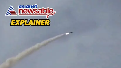 Explained: Who are the Baloch Liberation Front, the outfit that Pakistan bombed in Iran?