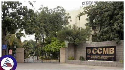 ಸೆಲ್ಯುಲಾರ್ ಮತ್ತು ಮಾಲಿಕ್ಯುಲರ್ ಬಯಾಲಜಿ ಕೇಂದ್ರದಲ್ಲಿ ತಂತ್ರಜ್ಞ ಗ್ರೇಡ್ -೨ ಹುದ್ದೆ, ಇಂದೇ ಅರ್ಜಿ ಸಲ್ಲಿಸಿ