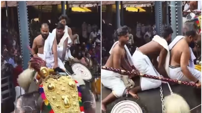 മലപ്പുറത്ത് ഉത്സവത്തിനിടെ ഇടഞ്ഞ് ആയയില്‍ ഗൗരി നന്ദന്‍; തിക്കിലും തിരക്കിലും പെട്ട് മൂന്ന് പേർക്ക് പരിക്ക്