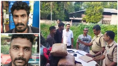 ഒഡിഷയിലെ വനത്തിൽ നിന്ന് ഏജന്റ് സാധനമെത്തിക്കും, കിലോയ്ക്ക് 12000 രൂപ ലാഭം; പൊലീസിന്റെ രഹസ്യ വിവരത്തിൽ കുടുങ്ങി