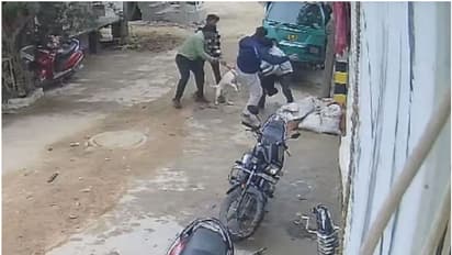 മുത്തച്ഛന്റെ മടിയിലിരുന്ന ഒന്നര വയസ്സുകാരിയെ പിറ്റ്ബുൾ കടിച്ചു; 18 സ്റ്റിച്ചുകൾ, കേസെടുത്തില്ലെന്ന് പരാതി