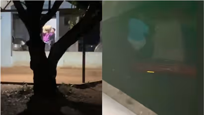 സ്കൂളിൽനിന്ന് രാത്രിയുടെ മറവിൽ ഉച്ചക്കഞ്ഞിക്കുള്ള അരിച്ചാക്കുകൾ കടത്തി; അധ്യാപകനെതിരെ പരാതി, അന്വേഷണം