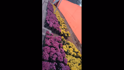 అయోధ్యలో రామాయణ కాలంనాటి మొక్కలు.. ఆ వైభవం చూడండి... (గ్యాలరీ)