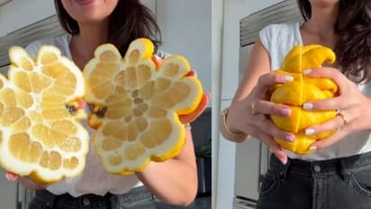 ഇത് എന്താണ് സാധനം എന്ന് മനസിലായോ? കോടിക്കണക്കിന് പേര് കണ്ട വീഡിയോ...