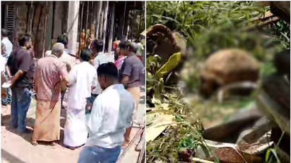 വീട് നിർമ്മാണത്തിന് മണ്ണ് നീക്കിയപ്പോൾ അസ്ഥികൂടം, പ്ലാസ്റ്റിക് കവറിൽ തലയോട്ടി, ദുരൂഹത 