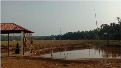 തൃശൂരിൽ പാറക്കുളത്തിൽ കാൽ കഴുകാൻ ഇറങ്ങവേ അപകടം; സഹോദരിമാര്‍ക്ക് ദാരുണാന്ത്യം