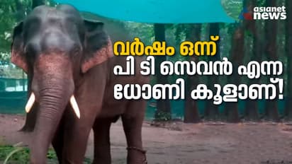 വര്ഷം ഒന്ന്; കാഴ്ച മങ്ങലിന് വിദേശത്ത് നിന്നും തുള്ളിമരുന്ന്, 'ധോണി' ഇന്ന് കൂളാണ് !