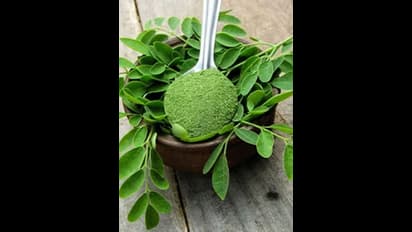 ముఖానికి మునగాకును ఇలా పెడితే.. మొటిమలు, నల్లమచ్చలు, ముడతలు అన్నీ తగ్గిపోతాయ్..