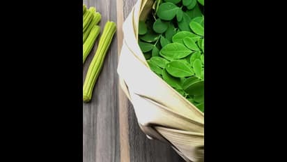 మునగాకు తింటే.. షుగర్ కంట్రోల్ అవుతుందా..?