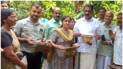 മധുരമൂറും ഗ്രാമമായി ചക്കിട്ടപ്പാറ, കഴിഞ്ഞ വർഷം വിറ്റത് 16 ടണ് തേൻ, ഇനി തേൻ മ്യൂസിയം