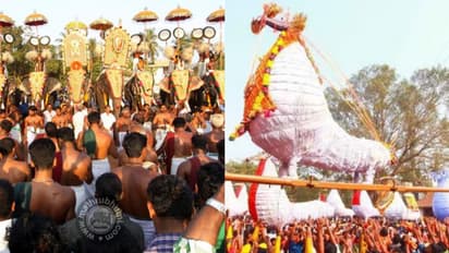 ചിനക്കത്തൂര്‍ പൂരം എഴുന്നള്ളിപ്പിന്  ഡിജെയും  നാസിക് ഡോളും വേണ്ട,നിരോധനം ഏര്‍പ്പെടുത്തി പൊലീസ്