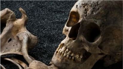 ആളൊഴിഞ്ഞ പുരയിടത്തിലെ കിണറ്റിൽ നിന്ന് അസ്ഥികൂടം കണ്ടെത്തി