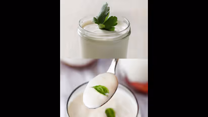 தினமும் தயிர் சாப்பிடலாமா...? இதனால் கிடைக்கும் நன்மைகள் என்ன..??