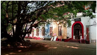 6 മണിക്ക് ശേഷം ക്യാംപസിൽ ആരെയും അനുവദിക്കില്ല, പൊലീസ് തുടരും; മഹാരാജാസ് കോളേജ് ഇന്ന് തുറക്കും