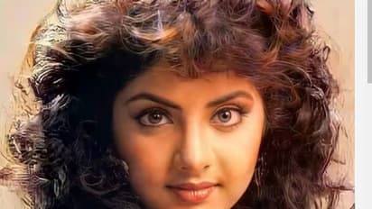 దివ్య భారతి కోసం స్టార్‌ హీరో చేసిన పనికి నిర్మాత బలి.. పాపం నిండా ముంచేశాడుగా!