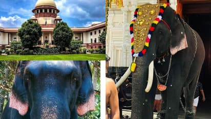 ഊട്ടോളി രാമൻ ഉടന്‍ അമൃതാനന്ദമയി മഠത്തിലേക്കില്ല, തത്കാലം നിലവിലെ ഉടമക്കൊപ്പം തുടരട്ടെയെന്ന് സുപ്രീംകോടതി