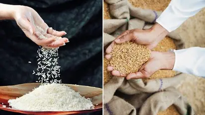 Shocking study reveals Indian rice and wheat face nutritional decline and arsenic surge; are you at risk?