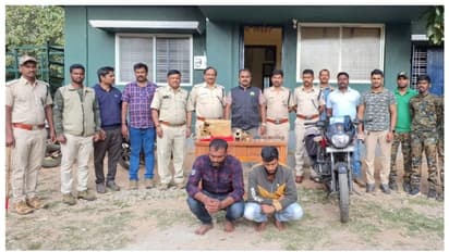 ಬ್ಯಾಗಿನಲ್ಲಿ ಹುಲಿ ತಲೆಬರುಡೆ, ಉಗುರು, ಹಲ್ಲು ಪತ್ತೆ, ಚಿಕ್ಕಮಗಳೂರಿನಲ್ಲಿ ಇಬ್ಬರು ಅರೆಸ್ಟ್