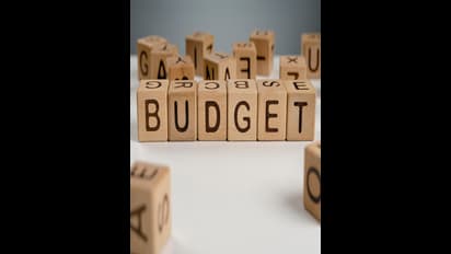 Union Budget 2024 : ఈ పది విషయాలు తెలిస్తే బడ్జెట్ అర్థం చేసుకోవడం ఈజీ... 