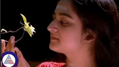 ಕ್ರೈಸ್ತ ಕೌನ್ಸಿಲರ್ ಆಗಿರುವ 'ಶ್ರೀರಾಮಚಂದ್ರ' ನಟಿ ಮೋಹಿನಿ; ಬದಲಾಗಿದೆ ಬದುಕು, ವಿಭಿನ್ನ ನಿಲುವು!