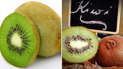 A super easy method to grow kiwi at home
