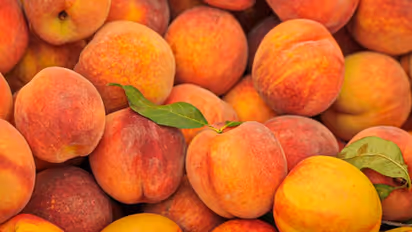 പതിവായി പീച്ച് ഡയറ്റില് ഉള്പ്പെടുത്തൂ; അറിയാം ഈ ഏഴ് ഗുണങ്ങള്...