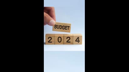 വനിതാ വോട്ടില് ചോർച്ചയുണ്ടാകുമെന്ന് ആശങ്ക; വിലക്കയറ്റം നിയന്ത്രിക്കാൻ ബജറ്റില് വലിയ ഇടപെടലുണ്ടായേക്കും