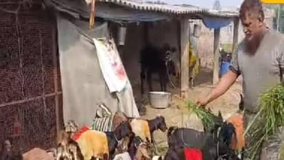 15000 -ത്തിൽ തുടങ്ങി, സമ്പാദിക്കുന്നത് അരലക്ഷം രൂപ, പാർട്ട് ടൈമായി പൗൾട്രി ഫാം