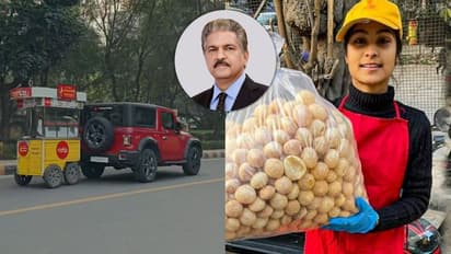 ಪಾನಿಪೂರಿ ಗಾಡಿ ಎಳೆಯಲು ಥಾರ್ ಖರೀದಿಸಿದ ಬಿಟೆಕ್ ಯುವತಿ, ಆನಂದ್ ಮಹೀಂದ್ರ ಮೆಚ್ಚುಗೆ!