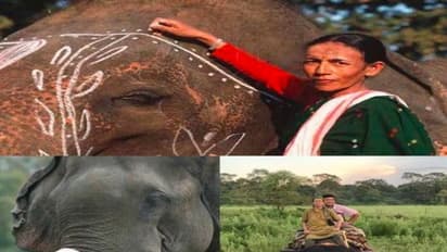 ಪದ್ಮಶ್ರೀ ಪುರಸ್ಕೃತೆ: ರಾಜವಂಶದಲ್ಲಿ ಹುಟ್ಟಿ ಮಾವುತೆಯಾದ ಪರ್ಬತಿ ರೋಚಕ ಸ್ಟೋರಿ ಇದು