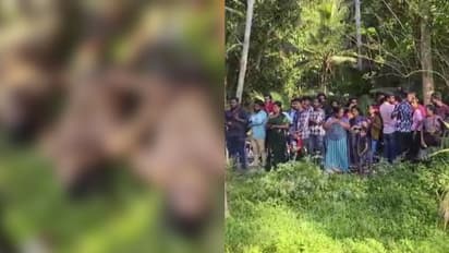 തിരുവനന്തപുരത്ത് വെള്ളായണി കായലില് കുളിക്കാനിറങ്ങിയ മൂന്ന് വിദ്യാര്ത്ഥികള് മുങ്ങി മരിച്ചു