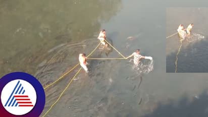 ಸತ್ತಿದೆ ಎಂದು ಭಾವಿಸಿ ಜೀವಂತ ಮೊಸಳೆ ಹಿಡಿಯಲು ಹೋದ ಅರಣ್ಯ ಸಿಬ್ಬಂದಿ! ಮುಂದೇನಾಯ್ತು ನೋಡಿ!