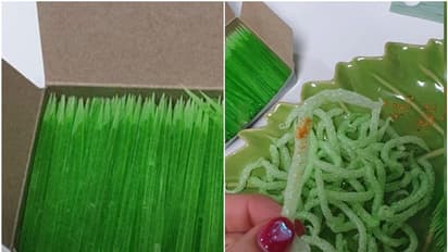 'ടൂത്ത്പിക്ക് ഫ്രൈസ്'; വൈറലായ വിഭവം ഇനി പരീക്ഷിക്കേണ്ടെന്ന് അധികൃതര്...