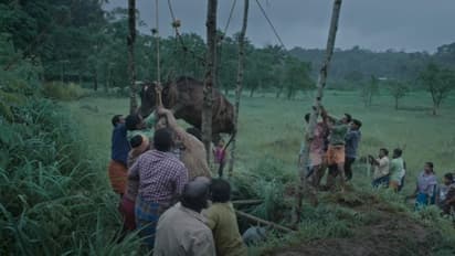 'ആട്ട'ത്തിന് ശേഷം വീണ്ടും ശ്രദ്ധേയ ചിത്രത്തില്‍ വിനയ് ഫോര്‍ട്ട്; 'ഫാമിലി' ട്രെയ്‍ലര്‍