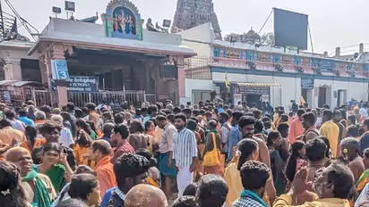 விண்ணை முட்டும் அரோகரா கோஷம்.. பழனி முருகன் கோவிலில் 3 மணி நேரம் காத்திருந்து பக்தர்கள் சுவாமி தரிசனம்.!