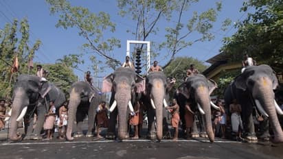 ഗുരുവായൂർ ആനയോട്ടം മാർച്ച് 10ന്