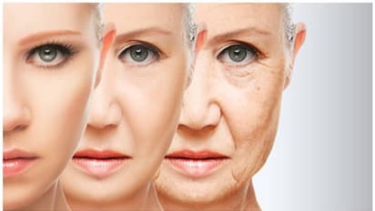 ചർമ്മത്തെ ചെറുപ്പമാക്കുന്ന അഞ്ച് സൂപ്പർ ഫുഡുകൾ 