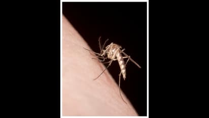 വെസ്റ്റ് നൈല്‍ പനിക്കെതിരെ ജാഗ്രത വേണമെന്ന് ആരോഗ്യവകുപ്പ്,മഴക്കാല പൂര്‍വ്വ ശുചീകരണ പ്രവര്‍ത്തനങ്ങൾ നടപ്പാക്കണം