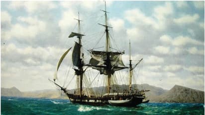 പരിണാമ സിദ്ധാന്തം ഉയിർകൊണ്ടത് ഇതാ ഇവിടെ; ചാൾസ് ഡാർവിൻ സഞ്ചരിച്ച കപ്പൽ 'എച്ച്എംഎസ് ബീഗിൾ'  തിരുവനന്തപുരത്ത്   