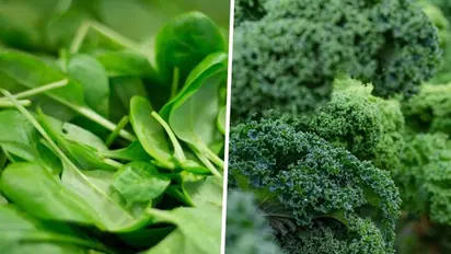 Kale to Broccoli: 7 iron-rich vegetables to boost your nutritional intake