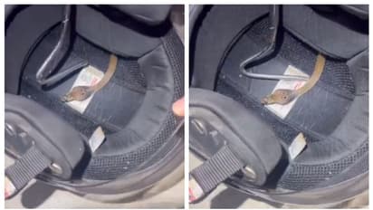 ഹെല്മറ്റ് എടുത്ത് തലയിലോട്ട് വയ്ക്കാന് വരട്ടെ, അതിനുള്ളിലെ ആളെ കണ്ടോ ? ഞെട്ടിപ്പിക്കുന്ന വീഡിയോ