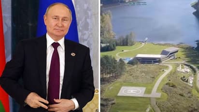 3 houses, 2 helipads, cattle farm & more: Putin's alleged secret residence near Finland uncovered (WATCH)