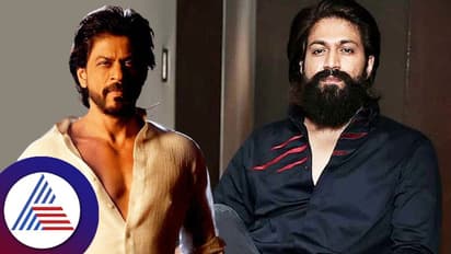 ಬಾಲಿವುಡ್ನಲ್ಲಿ ಶಾರೂಕ್ ಖಾನ್ ಜೊತೆ ನಟಿಸ್ತಾರಂತೆ ಯಶ್! ಇದು ನಿಜನಾ?